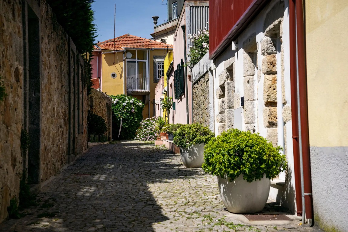 Charming street in Foz Velha